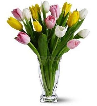 Mixed Tulips in a Vase