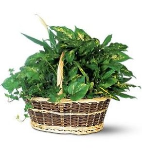 Bouquets & Baskets