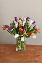 Two Dozen Tulips Arranged