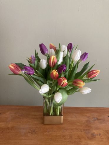Two Dozen Tulips Arranged