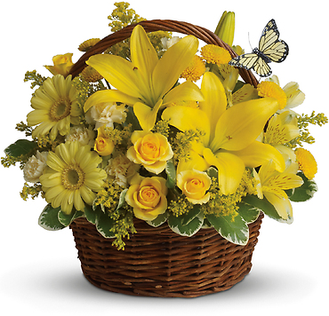 Basket Full of Yellows
