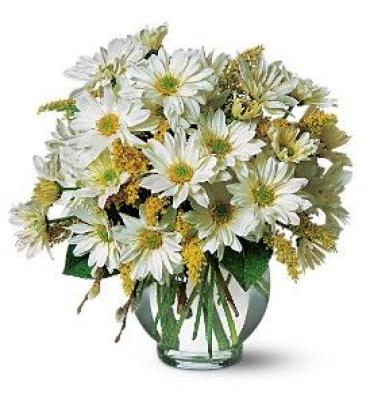 Daisy Bouquet