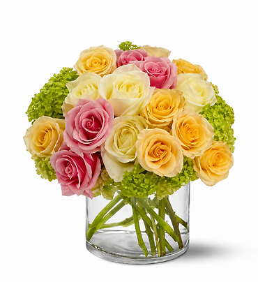 Enchanted Roses