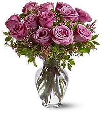 Lavender Dozen