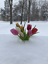 Shop closed Feb 17-22