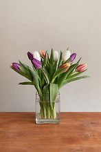 Dozen Tulips Arranged