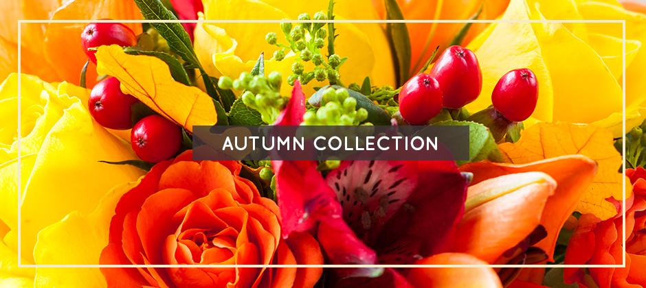Autumn Banner