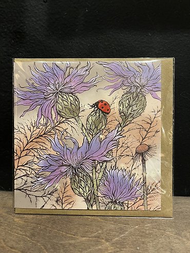 Lady Bug Blank Card